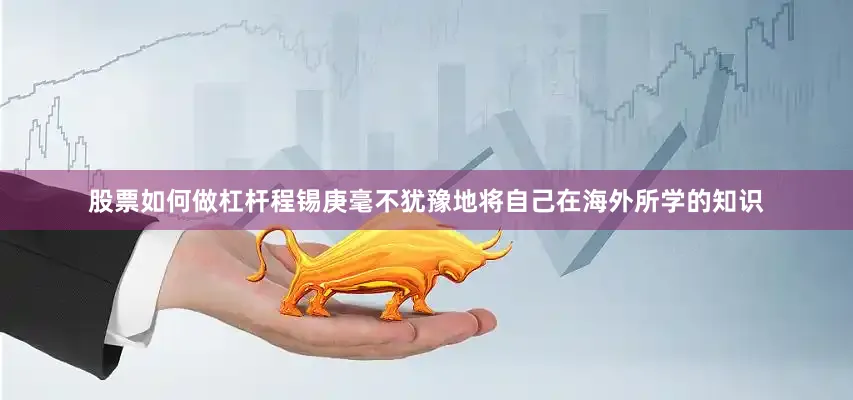 股票如何做杠杆程锡庚毫不犹豫地将自己在海外所学的知识